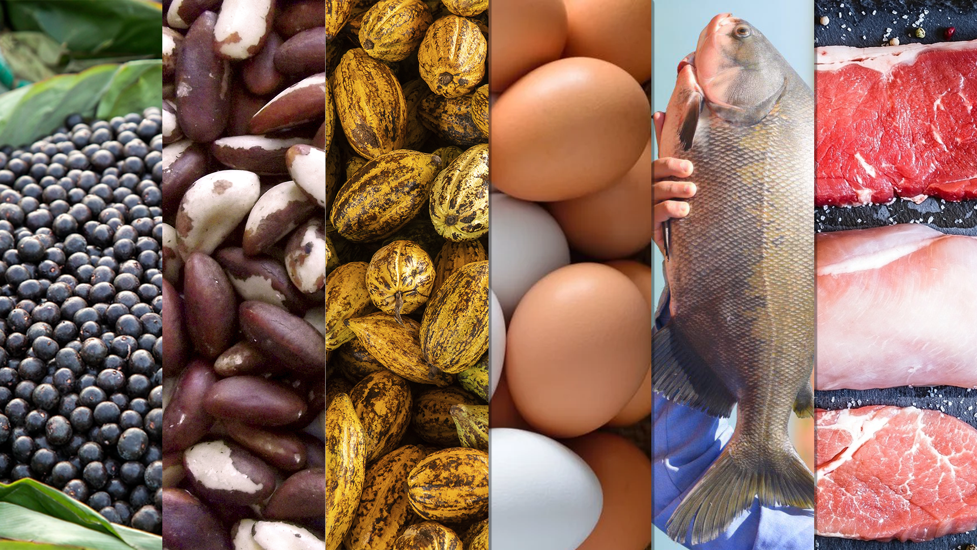 Da Amazônia para o mundo: ApexBrasil está com inscrições abertas para Programa que impulsionará as exportações da região Norte